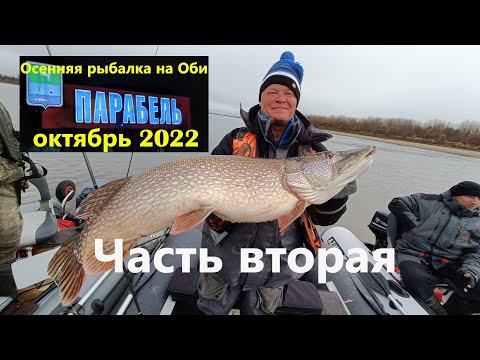 Видео: Парабель. Осенняя рыбалка на Оби. Октябрь 2022. Часть вторая.