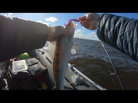 Видео: Рыбалка на Финском заливе(ловля судака)