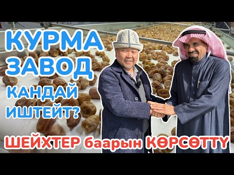 Видео: КУРМА ЗАВОДДУ тытып ТАРТЫП чыктык🟡 Өрүк, Жүзүм, Жаңгакты да ушундай кылса болот 🟡 КАСЫМ шаарында