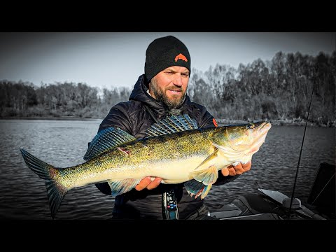 Видео: ЧАС - ІКС! Аномальна РОЗДАЧА на ДЕСНІ  - Судак, передзимовий ЖОР