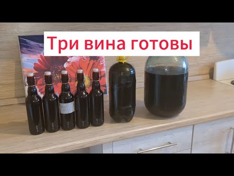 Видео: Вино из винограда Маркетт | Часть 3 | Запуск брожения, прессование, снятие с осадка, розлив Петната.