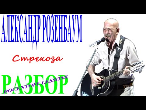 Видео: Александр Розенбаум Я увидел во дворе стрекозу разбор / на гитаре / бой / аккорды