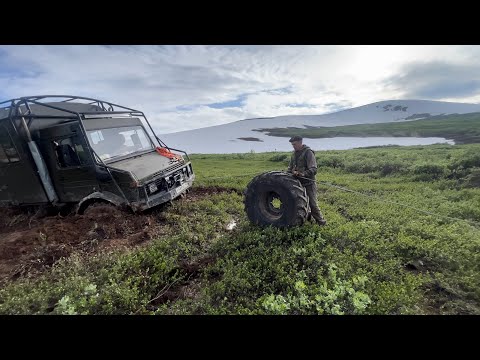 Видео: КАПКАН! Лето 24.