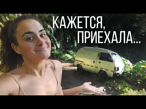 Видео: НОЧУЮ ПОСРЕДИ ДОРОГИ В ДЖУНГЛЯХ ВЕНЕСУЭЛЫ / влог