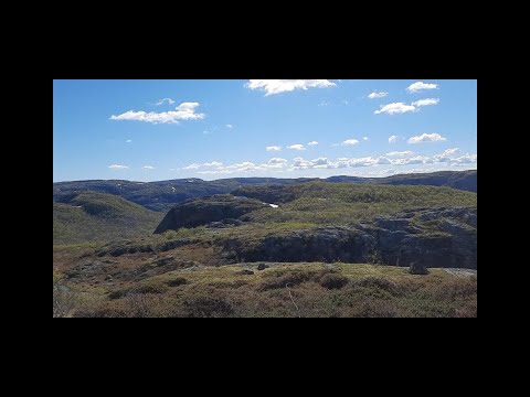Видео: Первая рыбалка после долгой зимы на Крайнем Севере