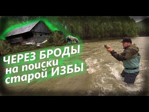 Видео: В ТАЙГУ НА ПОИСКИ СТАРОЙ ИЗБЫ попытка №1