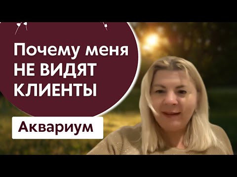 Видео: БИЗНЕС РАССТАНОВКА . Почему меня не видят клиенты. Аквариум 70. 4.10.23