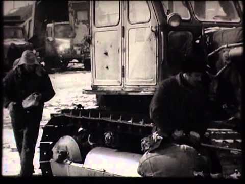 Видео: Беркакит