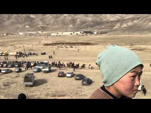 Видео: Кыргыз Кунан Жорголор жарышы. 16.11.2025 