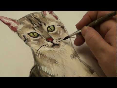 Видео: Рисуем кота - раскрашивание часть 2