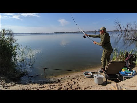 Видео: Карась 🐟 біля Русла! 😱 Розвідка нових локацій річки Ірпінь.