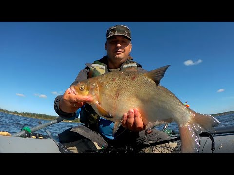 Видео: ВОТ ЭТО ЛОПАТА! ТРОФЕЙНЫЙ ЛЕЩ НА КОЛЬЦО! Понял, что значит леска звенит в руках!
