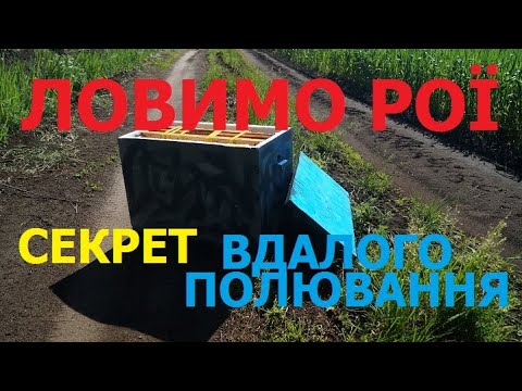 Видео: Ловимо рої. Секрет вдалого полювання