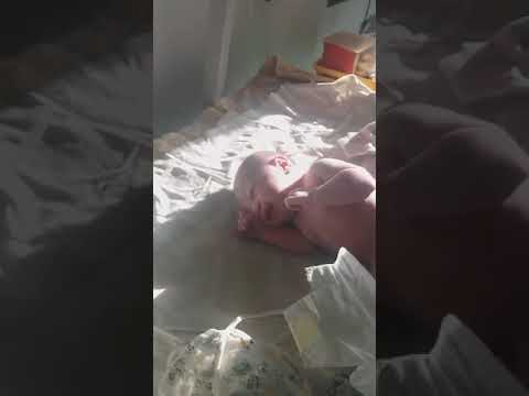 Видео: Первые минуты жизни