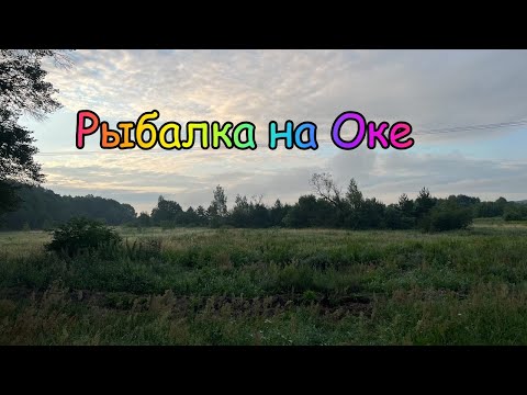 Видео: Утро на Оке. Микроджиг. Рыбалка 2023. Ультралайт. Силиконовые Приманки.