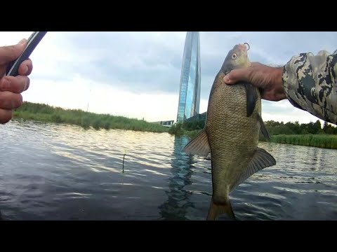 Видео: Рыбалка на поплавок в Санкт-Петербурге
