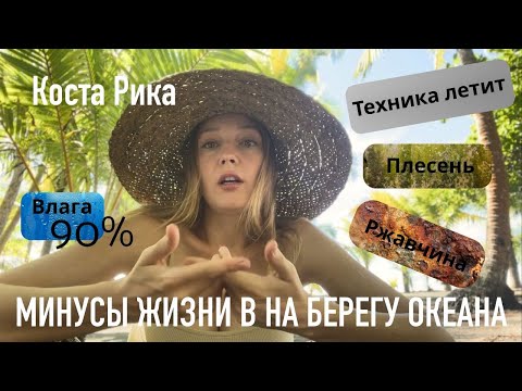 Видео: Жизнь на берегу океана. Что следует знать