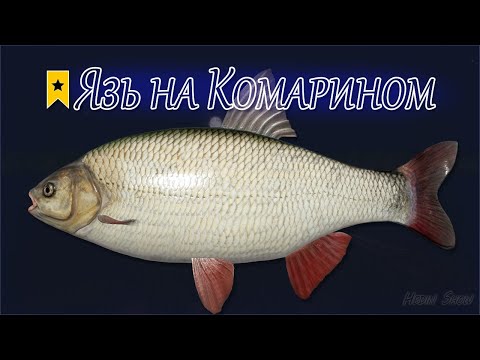 Видео: рр4 оз комариное язь