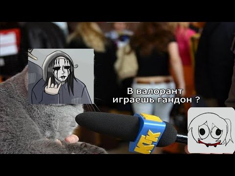 Видео: Отвечаю на вопросы от сообщества Shanti