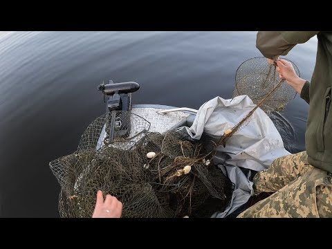 Видео: Раколовки и сети 🐟 Рейд по Михайловскому заливу и Гадючей балке май 2023