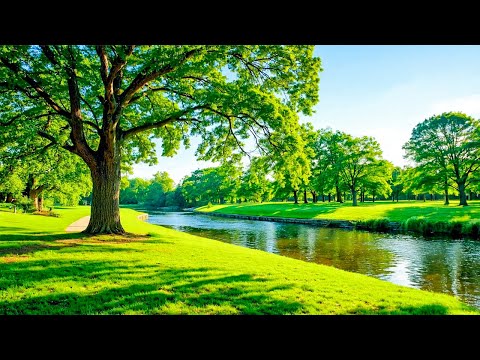 Видео: Нежная музыка, успокаивает нервную систему и радует душу 🌿 Целебная музыка для сердца и крови #6