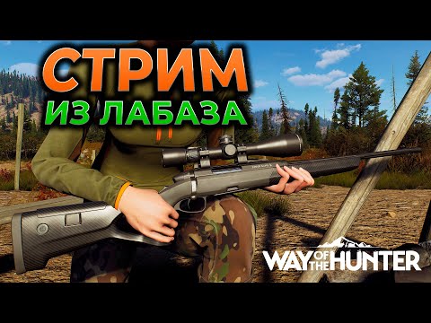 Видео: WAY OF THE HUNTER прохождение ► СТРИМ из Лабаза ► Симулятор охоты ► RTX 4090