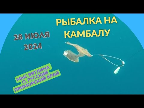 Видео: Рыбалка на камбалу. Мыс  Вятлина, остров Русский, Приморский край.