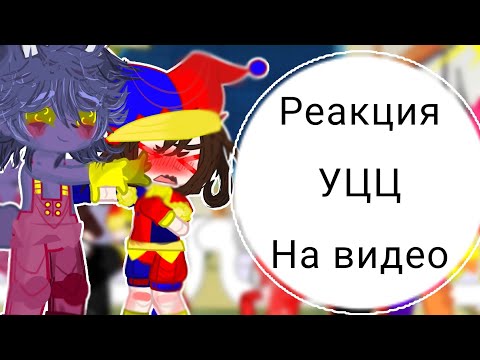 Видео: ✨💥Реакция УЦЦ на видео/1/?/нет стекла💥✨(чит. описание)