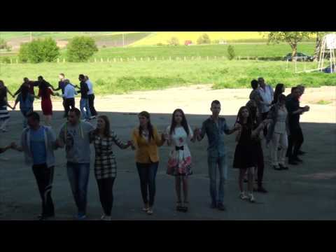 Видео: Лозница4