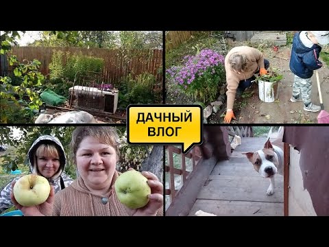 Видео: Я СДЕЛАЛА ЭТО//ЧТО НАТВОРИЛА РОКСИ//НОВЫЕ САПОГИ ВЕРЫ//СЫН НАСТОЯЩИЙ ПОМОЩНИК//БУДНИ МАМЫ//ВЛОГ