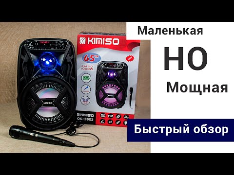 Видео: Портативная блютуз колонка с микрофоном. Маленькая и мощная. Bluetooth, USB, AUX, микро TF, FM радио