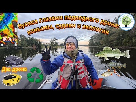 Видео: Вуокса: подводный дрон исследует глубины до 13,8 м и подводные каньоны. Эко-лагерь «Чистая Вуокса»