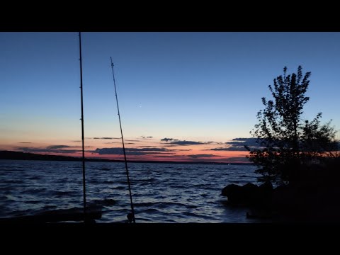 Видео: Нічна рибалка на Дніпрі. Рибалка на Сома . Розвідка нових місць.