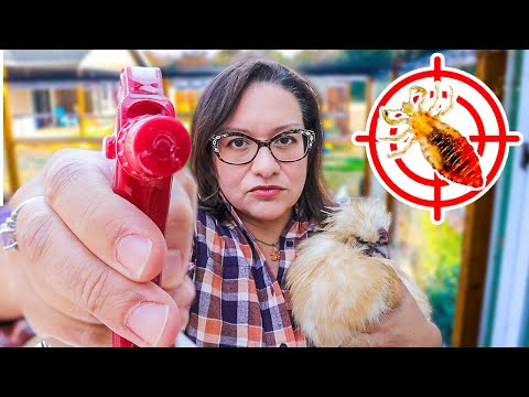 Видео: УБЕЙТЕ ВШЕЙ И КЛЕЩЕЙ В ВАШЕМ СТАРИНЕ ЗА ОДНО ПРИМЕНЕНИЕ (полностью натуральное средство!)