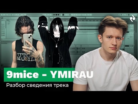 Видео: РАЗБОР СВЕДЕНИЯ ТРЕКА 9MICE YMIRAU | Podlesny Twins