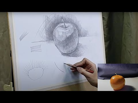 Видео: Тема 5. Светотень. Тоновый рисунок. Рисуем яблоко карандашом.