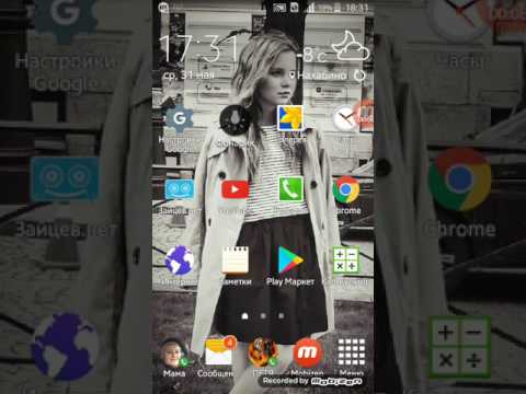 Видео: Звоним Деду Морозу, Демону и чеширскому коту.