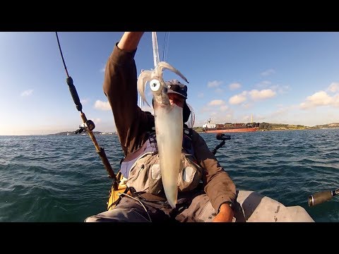 Видео: Рыбалка с каяка — поиск кальмаров — ловля, отправка, подготовка и приготовление