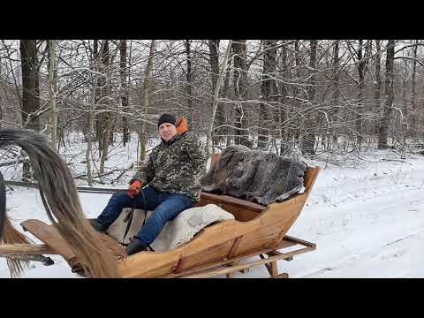 Видео: Лошади зимой, прогулка на санях!!!