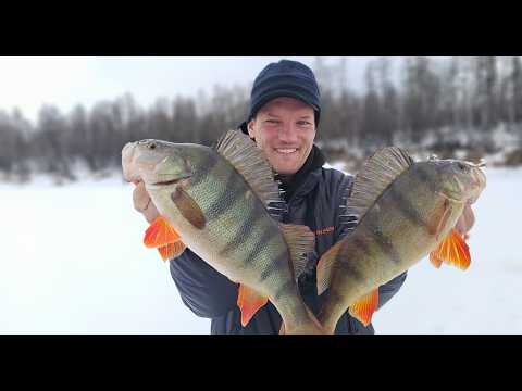 Видео: В ЭТОЙ ЯМЕ НЕ РЫБАЛКА, А ЖОР КАКОЙ ТО! ПОПАЛИ НА ЖОР ЩУК и ОКУНЯ! Рыбалка в Эвенкии часть 3 (март)