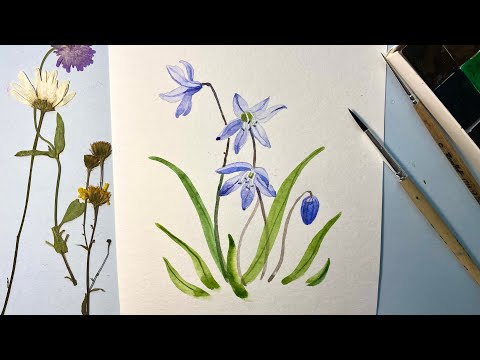 Видео: ПЕРВОЦВЕТ. Как нарисовать весенние цветы Пролески. Акварель для начинающих. Пошаговое рисование