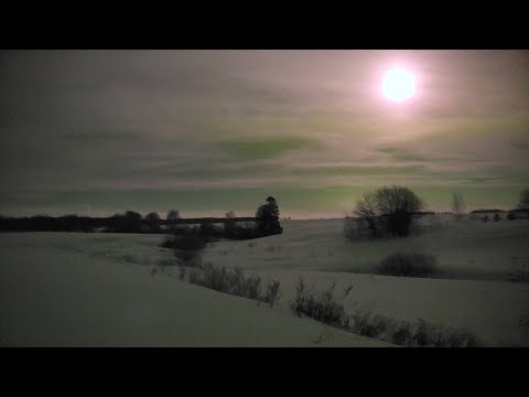 Видео: Охота на лису из засидки