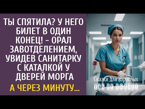 Видео: Ты спятила? У него билет в один конец! орал шеф, увидев санитарку с каталкой у дверей морга…