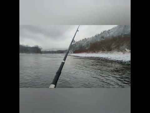 Видео: рыбалка река анюй