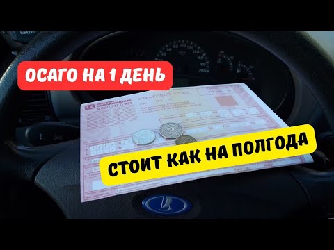 Видео: ОСАГО на 1 день стоит как на полгода