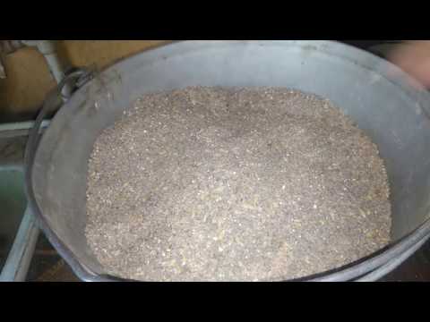 Видео: Корм для индоутят от "0" до 20 дней!!!