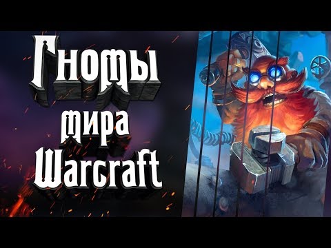 Видео: Гномы вселенной Варкрафт (Warcraft) - кто они? Где Живут? Как сражаются? С чем их едят?