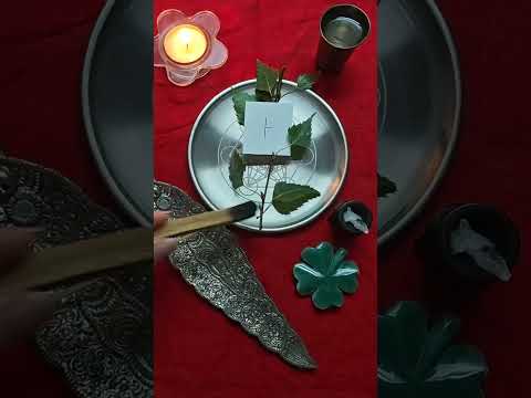 Видео: Огам: Берёза. Ритуал очищения, оздоровления, привлечения молодости и красоты