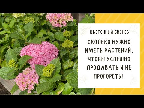 Видео: КАКИЕ РАСТЕНИЯ ВЫГОДНО ПРОДАВАТЬ В 2022!