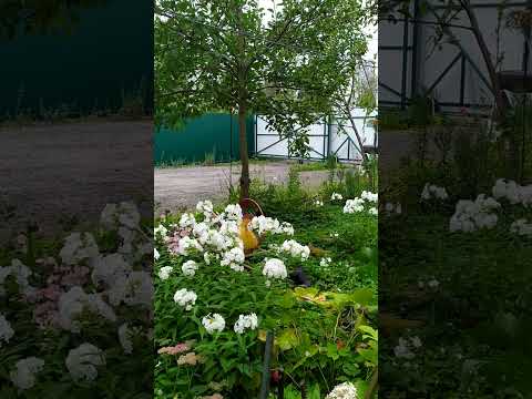 Видео: Тупее не бывает  Советую посмотреть и посмеяться